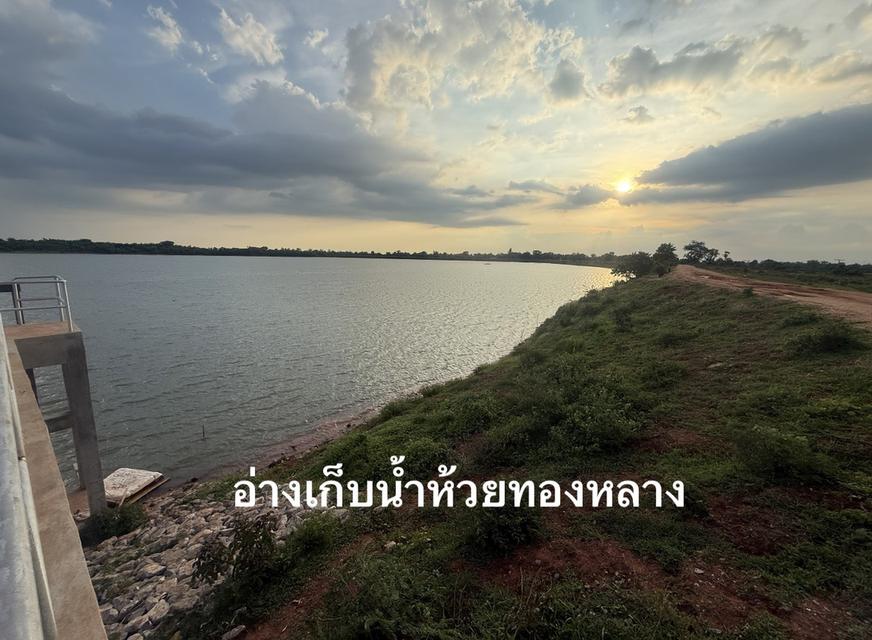 ## 🌿 ประกาศขายที่ดินติดอ่างเก็บน้ำห้วยทองหลาง  ตำบลบ้านกอก อำเภอจัตุรัส จังหวัดชัยภูมิ 4