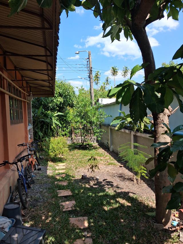 บ้านเดี่ยวมือสอง ใกล้สนามบินสุวรรณภูมิ 6