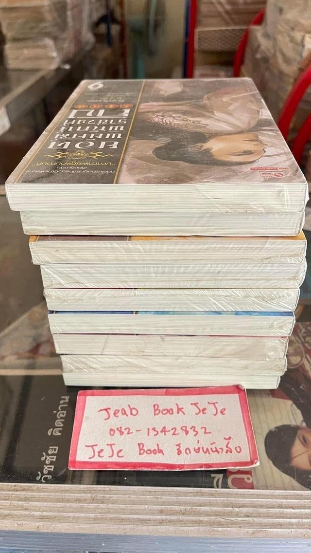 หนังสือนิยายแปลจีน ยอดพยัคฆ์พิทักษ์ราชวงศ์ถัง 1-9 จบ