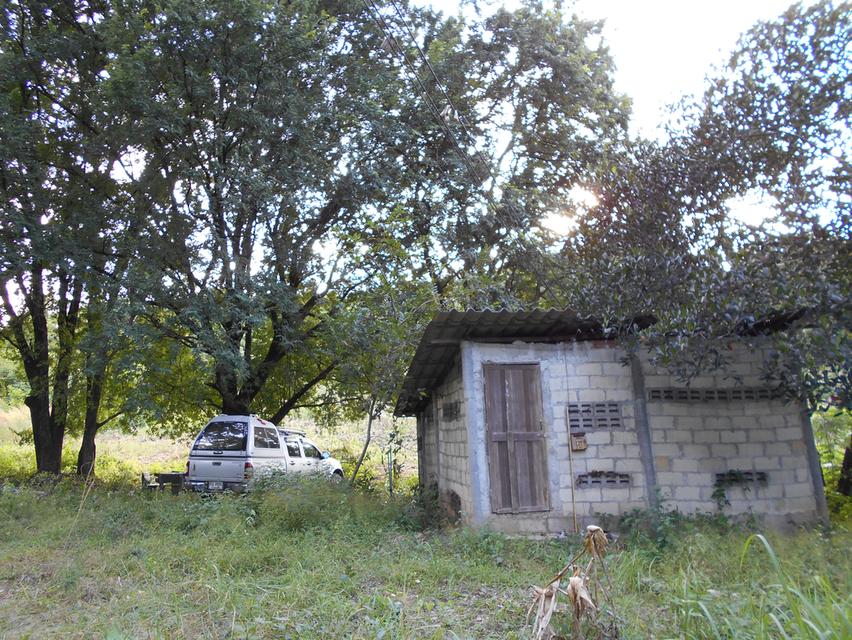 ที่ดินติดลำห้วย บ้านผาแดง ต.นายม อ.เมือง จ.เพชรบูรณ์ 16
