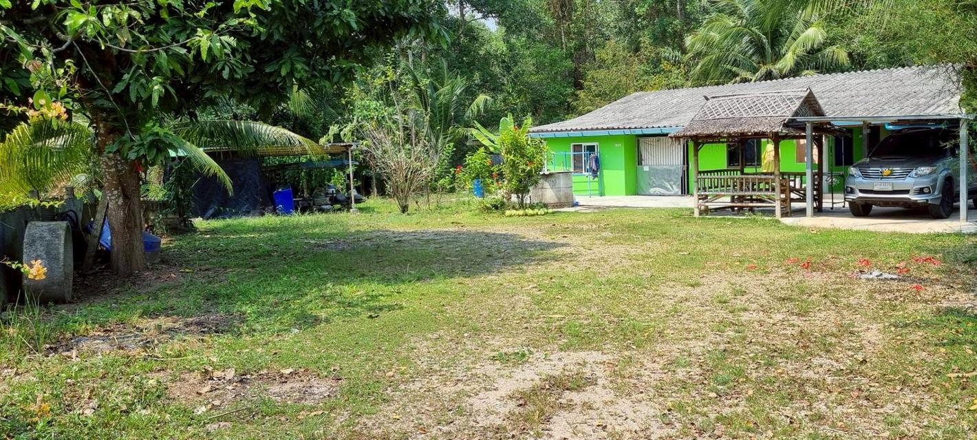 บ้านสวนพร้อมที่ดินพร้อม190ตารางวา 3