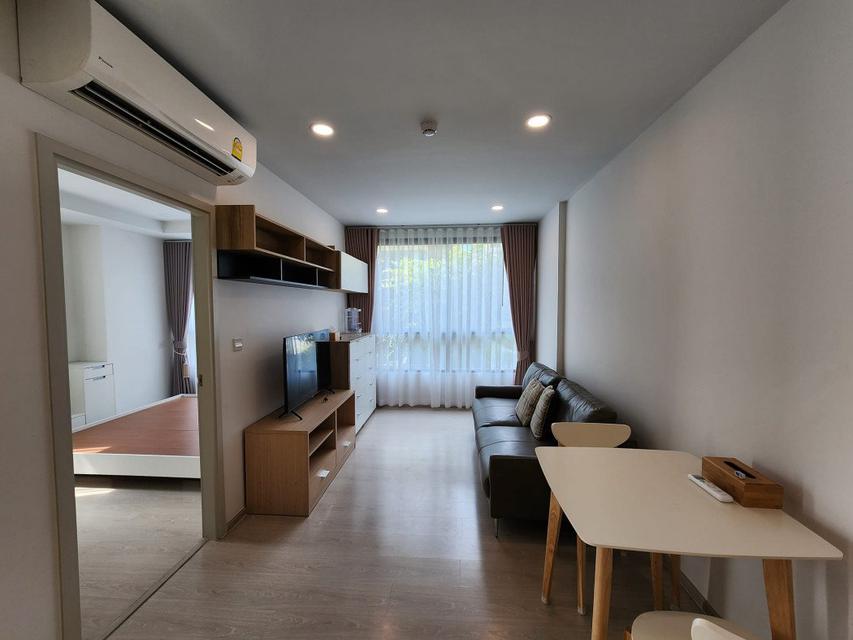 รูป ให้เช่า คอนโด 1 ห้องนอน The Tree สุขุมวิท 64 38 ตรม. ห้องมุมระเบียงกว้าง เห็นวิวสวน