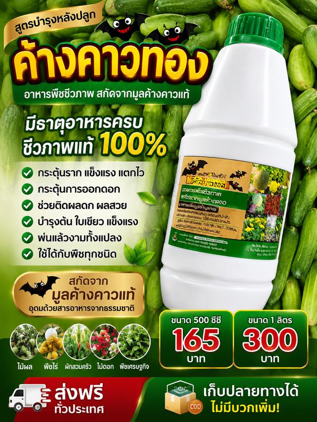 ค้างคาวทองฝาเขียว สูตรบำรุงกระตุ้นดอก