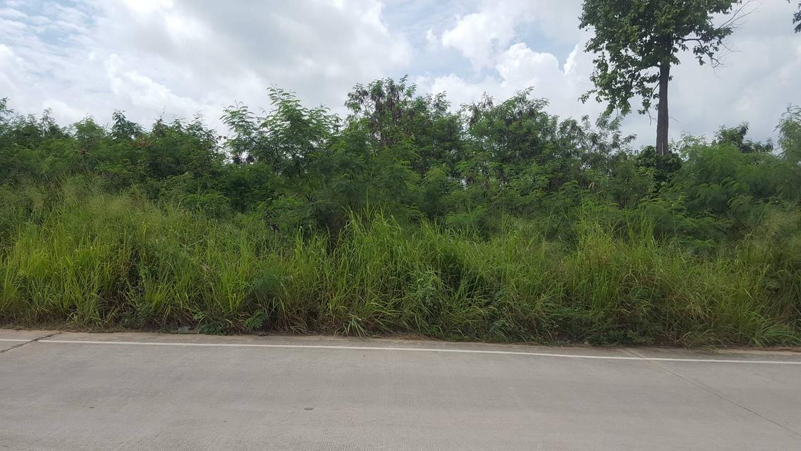 ที่ดิน 255 ตรว.และ 320 ตรว. บ่อวิน ติดถนนซอยอัลลายน์ 3