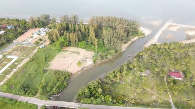 ขายที่ดินชุมพรหาดบ้านหนองบัว 107ตรว. 2แปลงสุดท้ายราคาพิเศษ ทำเลดีเดินทางสะดวก 2