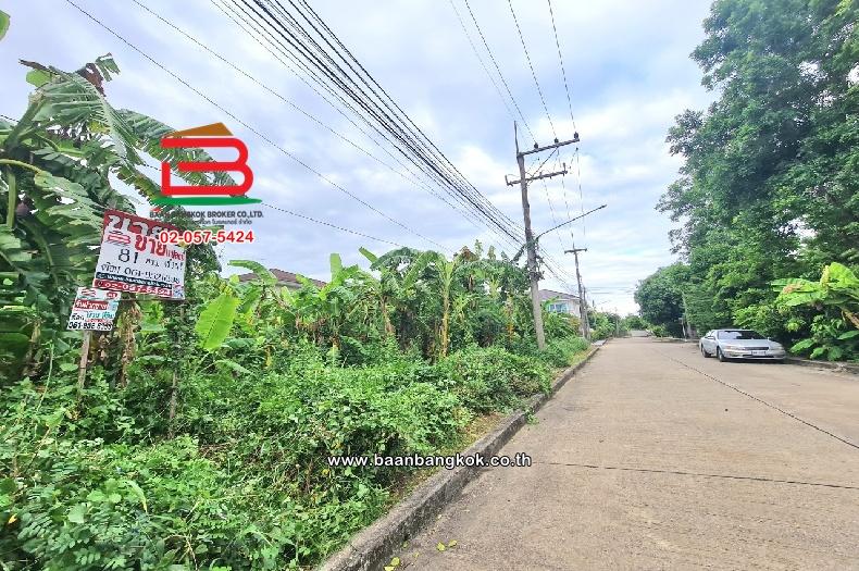 ที่ดินเปล่า หมู่บ้านปาริชาต 345 (โซน B ซอย 15) เนื้อที่ 81 ตร.ว ตำบลบางคูวัด อำเภอเมืองปทุมธานี ปทุมธานี 3