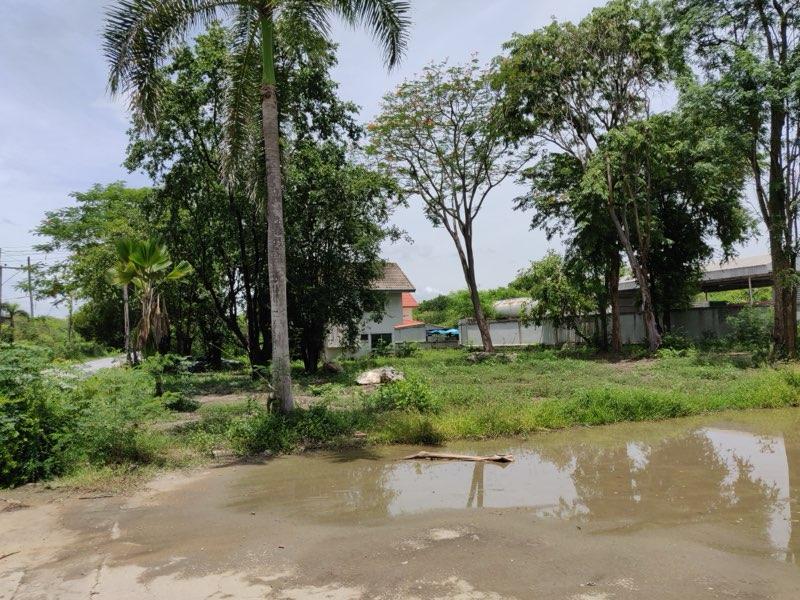 ขายที่ดินศีรษะทอง นครชัยศรี นครปฐม 7 แปลง รวม 489.4 ตร.ว. เจ้าของขายเอง พร้อมโอน 9