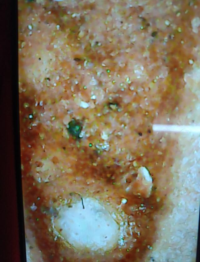 พระผงของขวัญหลวงพ่อสด 8