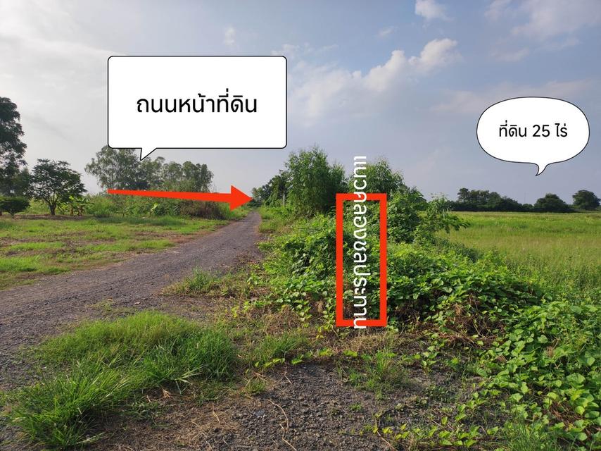 ขายที่ดิน 25 ไร่ ต.เมืองเก่า จ.พิจิตร 4