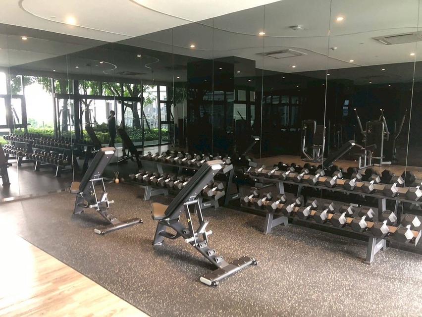 For Rent Aspire Sukhumvit Rama4 (New Condo) 8
