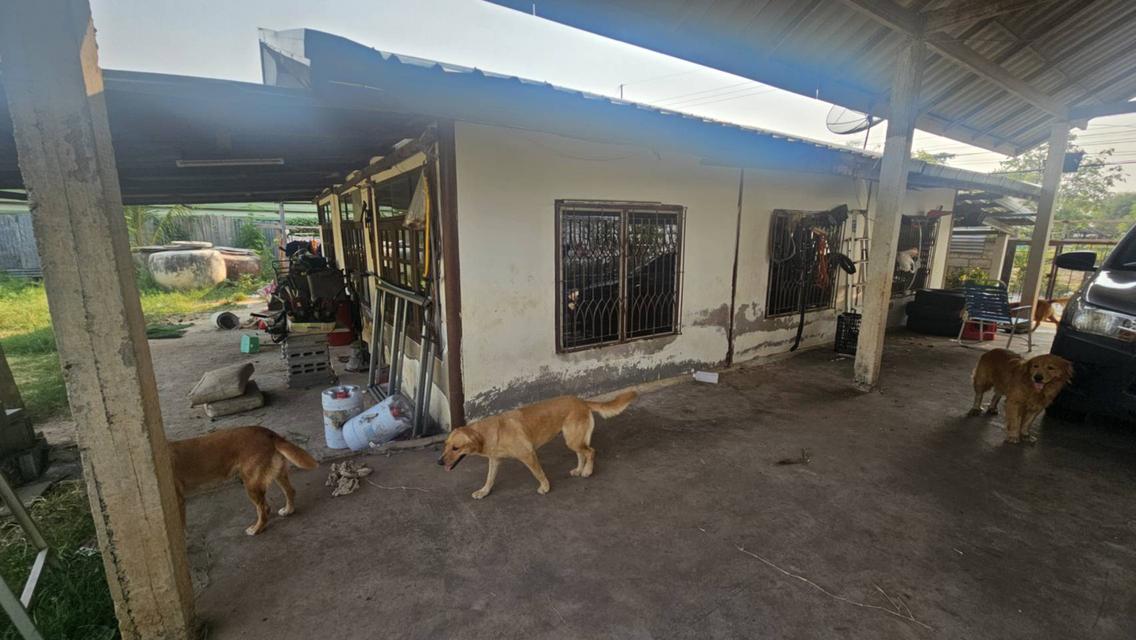 ขายบ้านพร้อมที่ดิน บ้านโจด อำเภอเมือง-ขอนแก่น 6