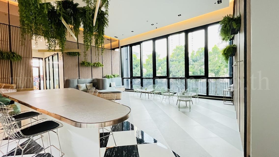 คอนโด นิช โมโน เมกะ สเปซ บางนา ราคาถูกมาก 15