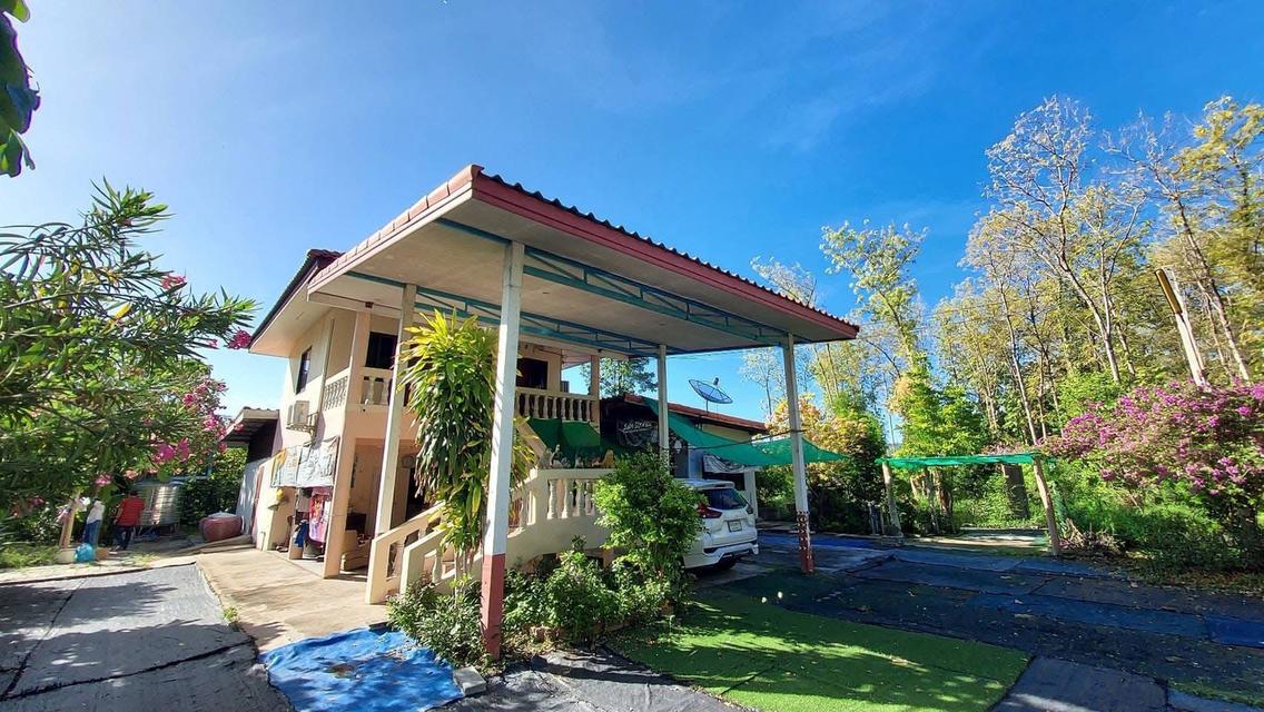 บ้านพร้อมที่ดิน 1ไร่ 1งาน 63 ตรว. 1