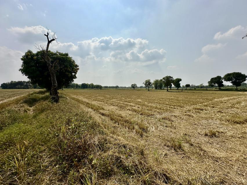 ขายที่ดิน เนื้อที่ 13-2-31.5 ไร่ ตำบลสาริกา อำเภอเมือง จังหวัดนครนายก 7