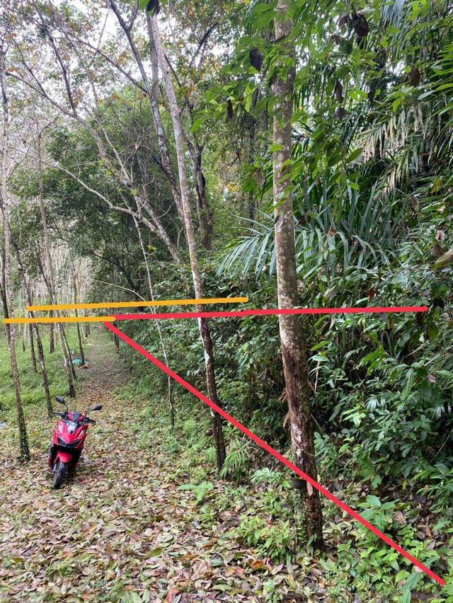 เสนอขายที่ดินติดเกาะ ใกล้แหล่งท่องเที่ยว วิว พังงา