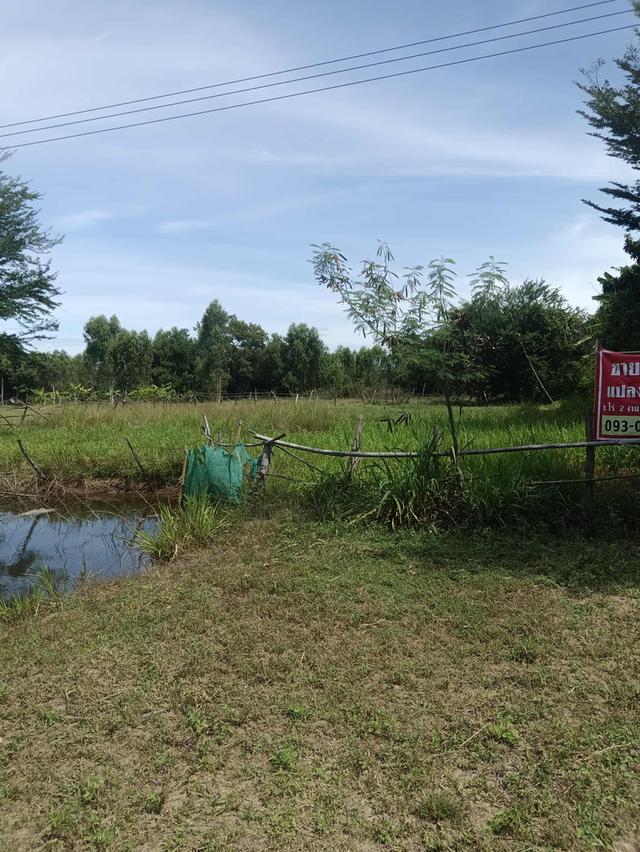 ที่ดินตรงข้ามอบตดงเเมือง ขนาด1ไร่ 2งาน 4