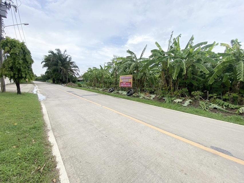 ขายที่ดินแปลงสวย เจ้าของขายเอง 227 ตรว. อ.บางใหญ่ จ.นนทบุรี 4