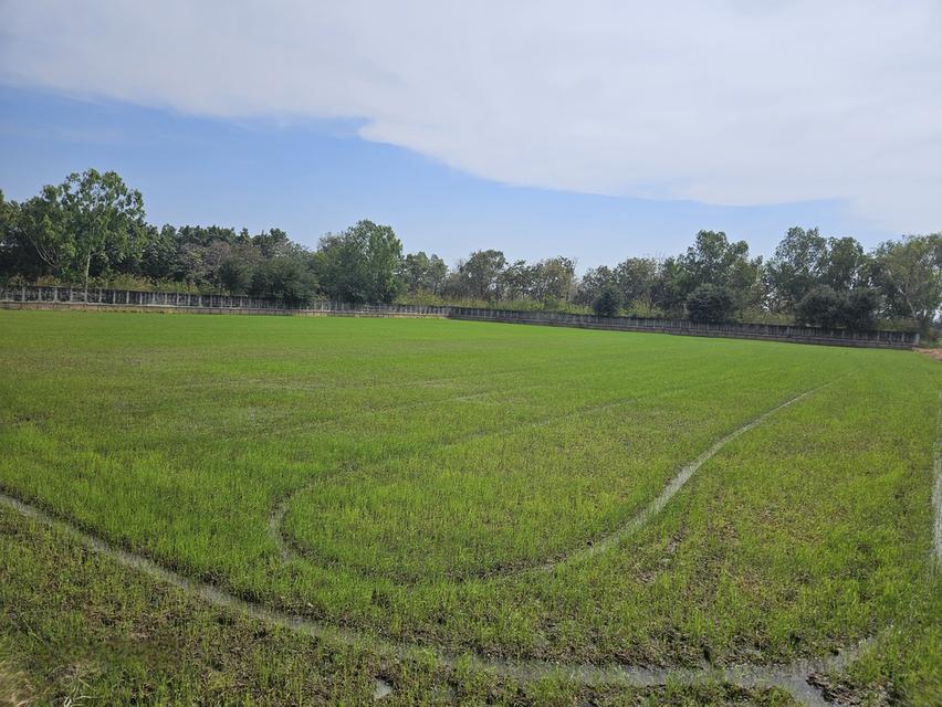 ที่ดินใกล้พระราชวังบางปะอินราคาเพียง 2800 บาทต่อตารางวา จังหวัดพระนครศรีอยุธยา 2
