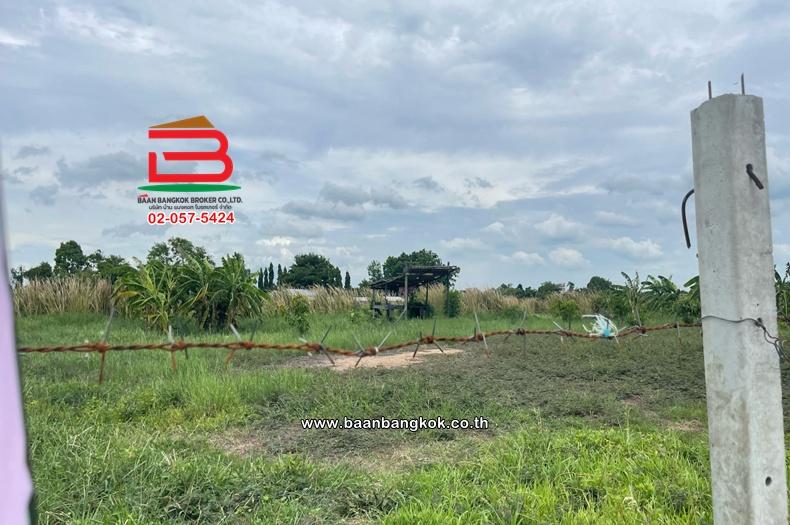 ที่ดินเปล่า เนื้อที่ 1-0-22 ไร่ ใกล้วัดประยงค์กิตติวนาราม ถนนประชาสำราญ แขวงคลองสิบสอง เขตหนองจอก 10
