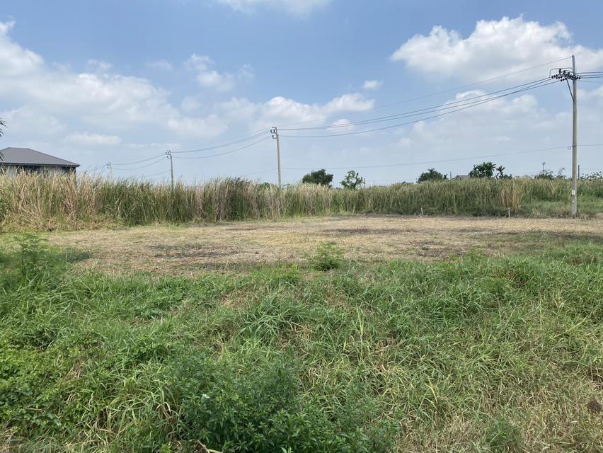 ขายที่ดินเปล่า ติดถนนใหญ่ คุ้มเกล้า ลาดกระบัง 2