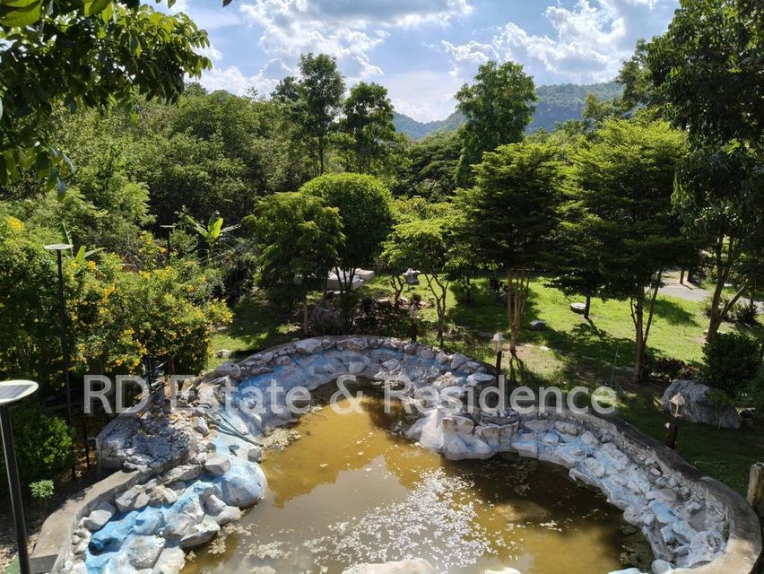 ขายรีสอร์ทกิจการเขาใหญ่ ที่ดินปากช่อง ต้นไม้ใหญ่ 446ตร.ว ธนะรัชต์ ท่าช้าง หมูสี ที่ติดเขา เหมาะทำรีสอร์ท ร้านอาหาร คาเฟ่ ใกล้น้ำผุด อุทยาน 0879074045