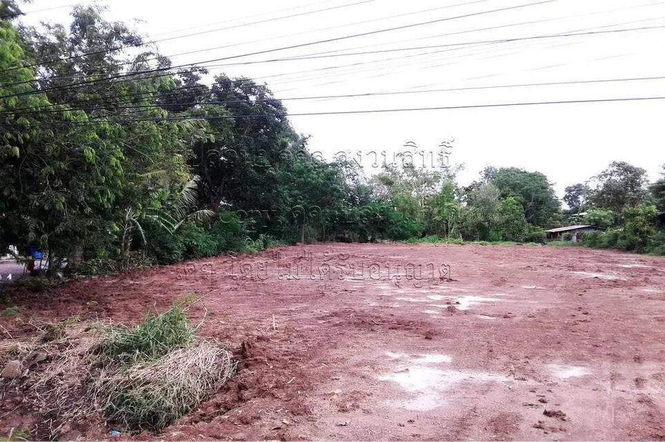 ต้องการขาย ที่ดิน 1 ไร่ 54 ตรว. ต.ม่วงงาม อ.เสาไห้ จ.สระบุรี