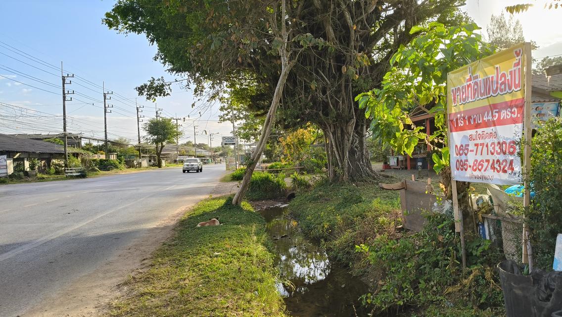 ที่ดินและบ้าน 1 ไร่ 1งาน 44.5 ตรว. ใจกลางเมืองฉกลง ระยอง ทำเลสวยงามราคาจับต้องได้ 5