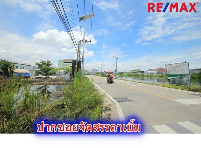 ที่ดินประชาอุทิศ90 จัดสรรตาเบิ้ม ถนนเมน 207ตารางวา สร้างบ้าน ทำธุรกิจได้ ใกล้โรงเรียนสารสาสน์วิเทศ ทางด่วนสุขสวัสดิ์ บางพลี ราคาถูก   18