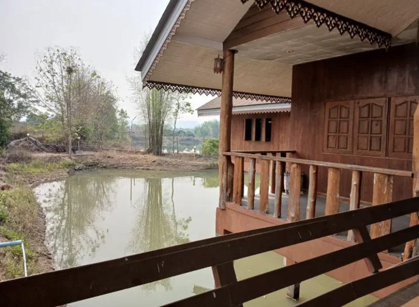 ขายที่ดินพร้อมบ้านและสวนลำไย 14 ไร่ ทำเลดีมาก อ.เมือง จ.ลำพุน 5