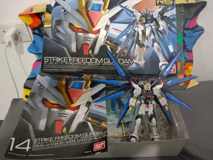 RG STRIKE FREEDOM GUNDAM