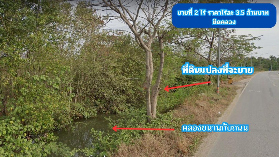 ขายที่ดิน ติดคลอง 2 ไร่ ใกล้ถนนสิริโสธร  หรือถนน 314 (บางปะกง-ฉะเชิงเทรา)  ต.สนามจันทร์ อ.บ้านโพธิ์ จ.ฉะเชิงเทรา 6