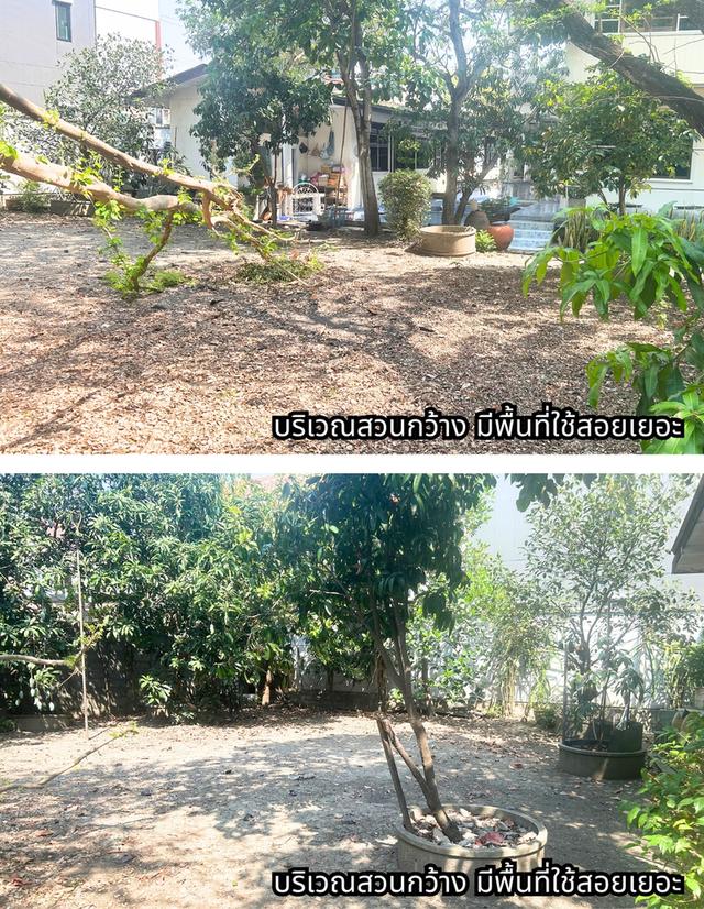 ขายที่ดินพร้อมสิ่งปลูกสร้าง 9