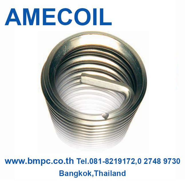Brass insert type D, พุกเกลียวทองเหลือง, Amecoil, Schnorr
