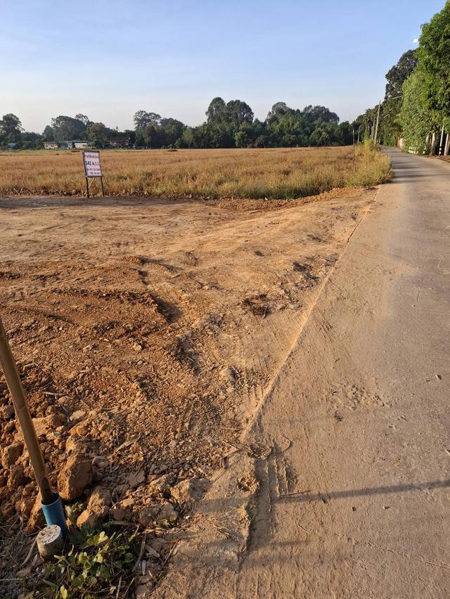 ที่ดิน ตำบลหัวรอ พิษณุโลก 8