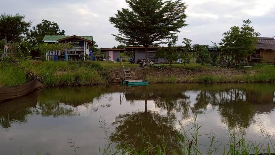 ขายที่ดินทางเลือก (ภบท5) ราคาจับต้องง่าย. ( 612บ./ ตร.วา ) ( 20 ไร่. : 4.9 ล้าน ) | ซื้อขาย เปลี่ยนชื่อได้ : พื้นที่. ปลอดภัยฯ หายห่วง | อากาศบริสุทธิ 3