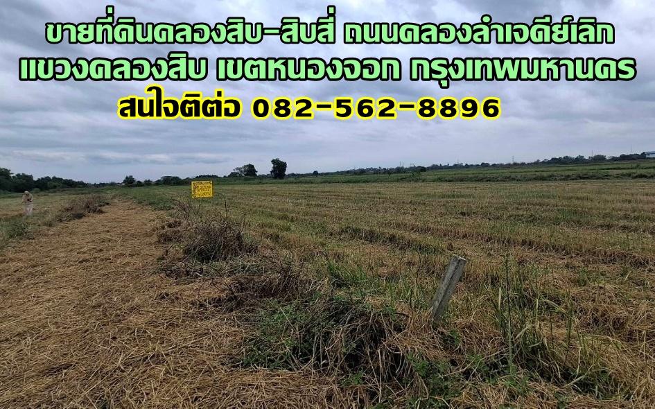 ขายที่ดินคลองสิบ-สิบสี่ ถนนคลองลำเจดีย์เลิก แขวงคลองสิบ เขตหนองจอก กรุงเทพมหานคร