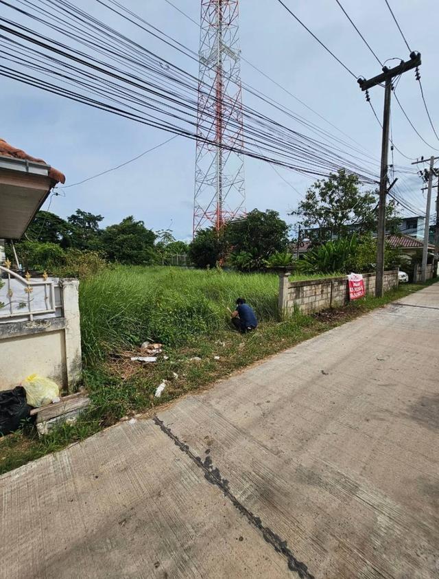 ขายที่ดินติดถนน ตำบลท่าขอนยาง อำเภอกันทรวิชัย มหาสารคาม 3