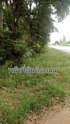 ขายที่ดิน 43 ไร่ ติดถนนมิตรภาพ บ้านไผ่ขอนแก่น ที่ดินจัดสรรแบ่งแปลงพร้อมขาย ขายยกโครงการ ขายถูกมาก 4