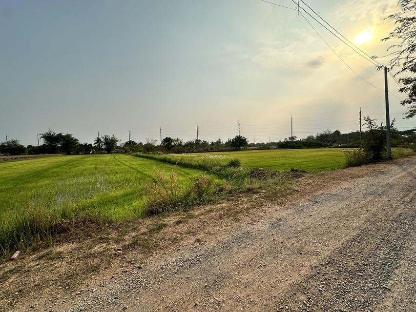 ที่ดินสวยใกล้ถนนเลี่ยงเมือง เยื้องหมู่บ้านเปี่ยมสุข 2