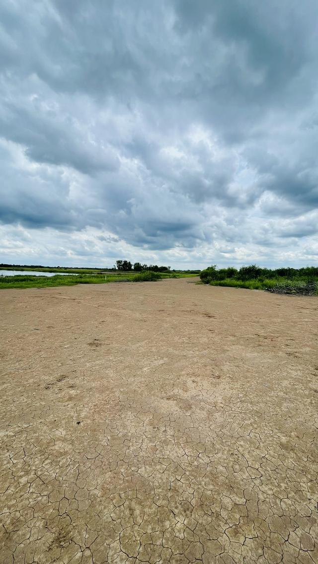 ขายที่ดินนครนายก (คลอง 15) เนื้อที่ 22-0-67.6 ไร่ 5