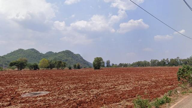 ที่ดิน ที่ดินเปล่าปากช่อง, เขาใหญ่ 7800000 บาท. พื้นที่ 2 Rai 0 NGAN 14 ตรว. ใกล้ CPLI (สถาบันผู้นำเครือเจริญโภคภัณฑ์ 1. 5