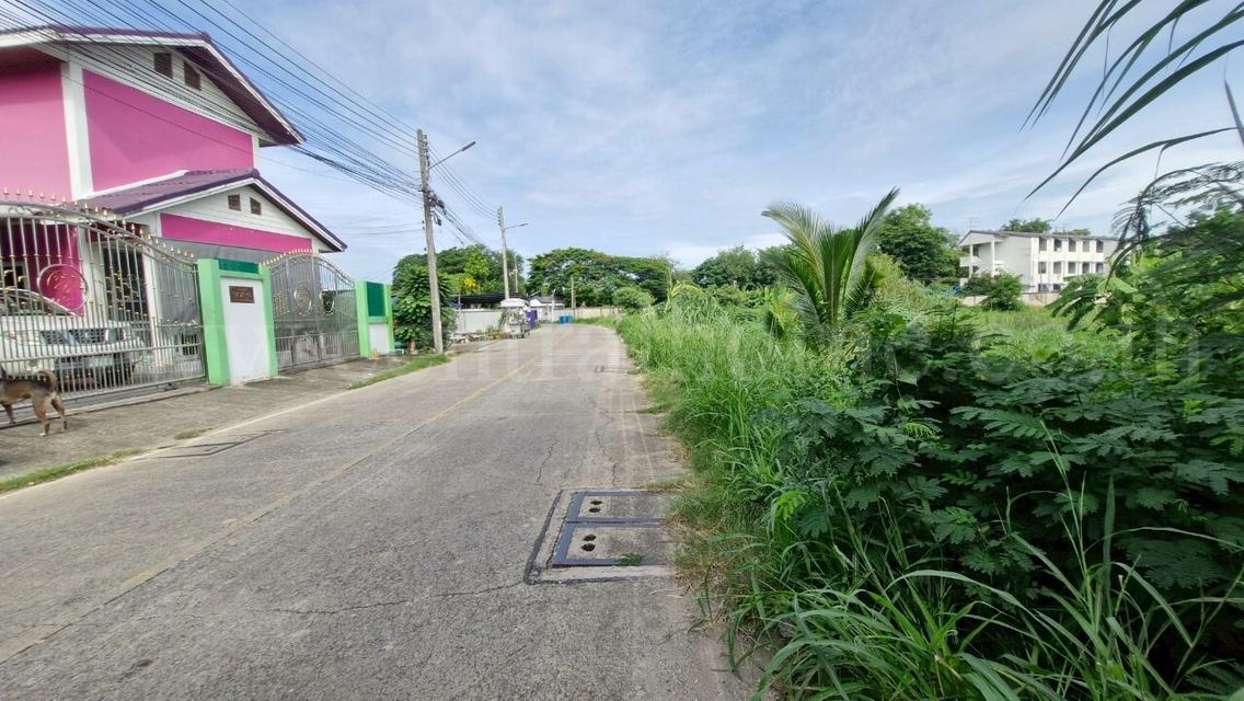ที่ดินเปล่า 3 ไร่ 72 ตร.วา ถนนติวานนท์ - ปากเกร็ด ใกล้ตลาดดวงแก้ว 15
