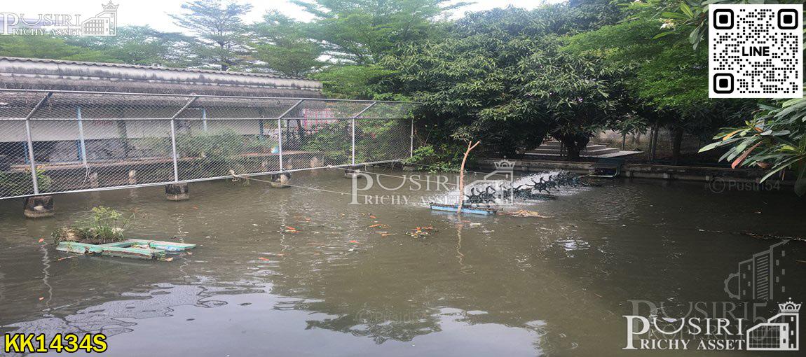 ขายที่ดิน 7 ไร่ พร้อมพื้นที่ใช้สอย ลานคอนกรีตเต็มพื้นที่ มีโรงงาน โกดัง สำนักงาน อุปกรณ์และใบ รง.4 ครบถ้วน แถมติดถนน 2 ด้านในราคาที่เปล่า - KK1434S 5