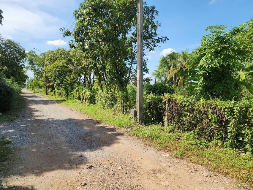 ที่ดินใกล้สนามบินสุวรรณภูมิ 1