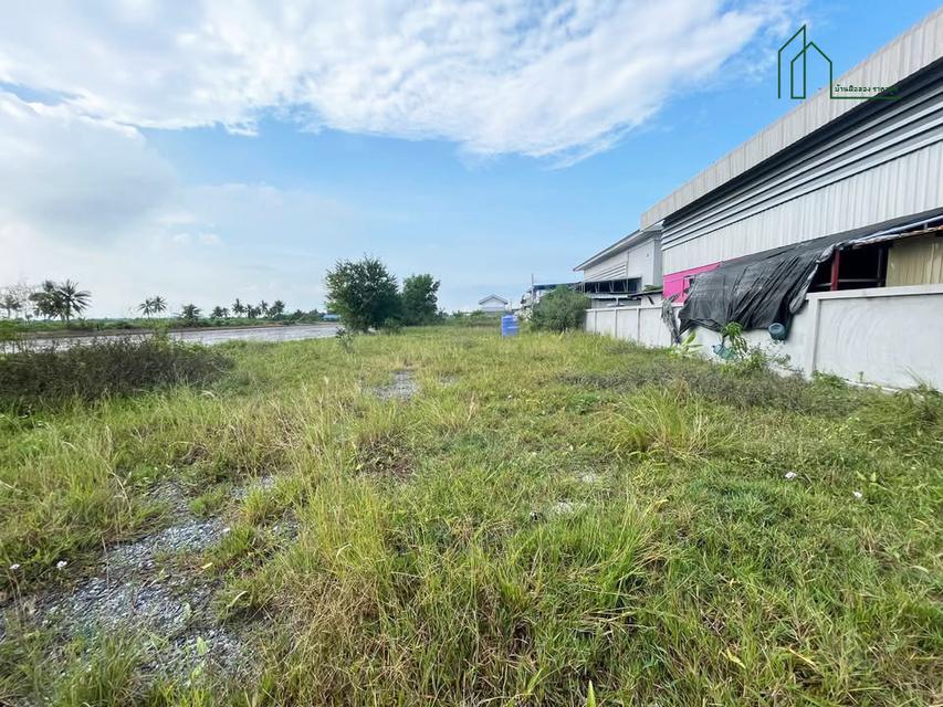 ขายโกดัง พร้อมออฟฟิศ และที่ดินถมแล้ว ขนาดที่ดินทั้ง 2 แปลงรวม 251 ตรว. คลองขวาง นนทบุรี 5