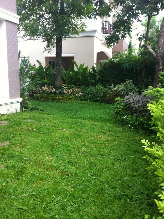 🏡 บ้านเดี่ยวหรูให้เช่า เดอะแกรนด์ พระราม 2  | 3 นอน 3 น้ำ ใกล้ทะเลสาบ วิวสวน บรรยากาศดี 1