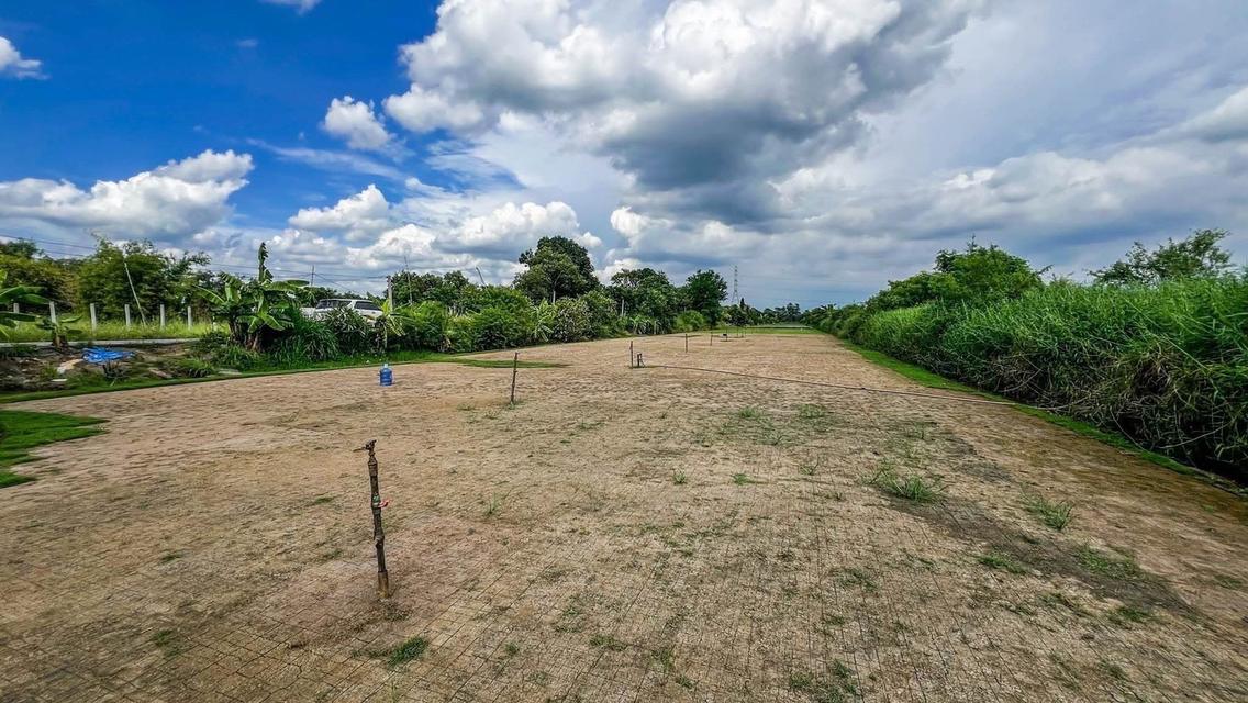 ขายที่ดินทำเลดี รังสิต–นครนายก ขนาด 100 ตร.ว เพียง 350,000 บาท (ราคาถูกที่สุดในโซน!) 6