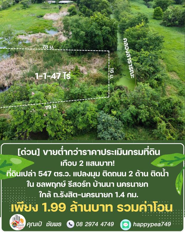 ขายที่ดิน 547 ตร.ว. บ้านนา นครนายก แปลงมุม ติดถนน ติดคลอง ต่ำกว่าราคาประเมิน ในชลพฤกษ์รีสอร์ท 10