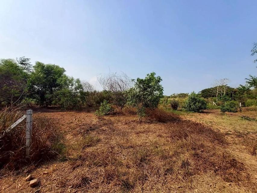 ขายถูกทีดิน 400 ตารางวา ติดถนนสาธารณะใกล้ซอยอยู่รวย แลนด์ หนองสามวัง หนองเสือ 5