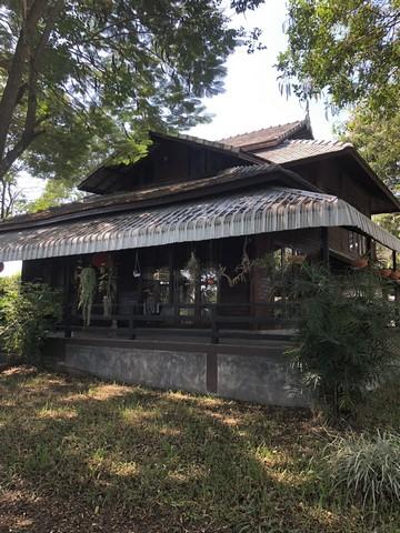 🏡 บ้านไม้ริมน้ำปิง พร้อมที่ดินผืนใหญ่ บรรยากาศธรรมชาติ 4